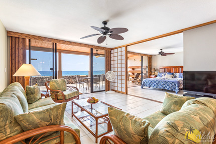 Living Room and Master Bedroom