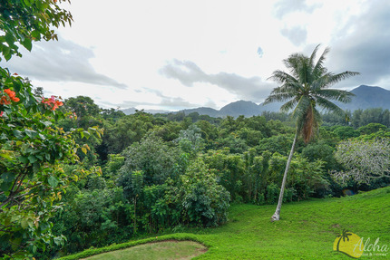Second Bedroom Lanai View