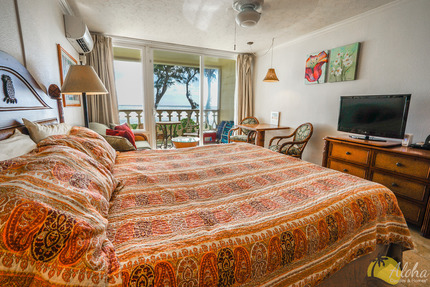 Studio Sleeping Area