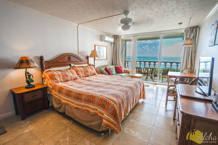 Studio Sleeping Area