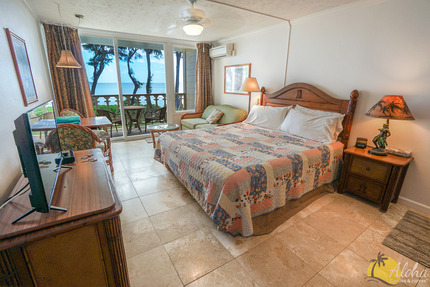 Studio Sleeping Area