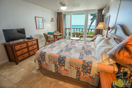 Studio Sleeping Area