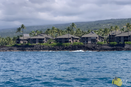 View from just offshore