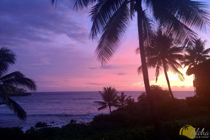 Beautiful and Memorable Views!