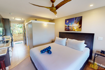 Studio Sleeping Area