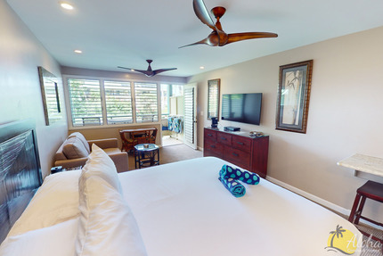 Studio Sleeping Area