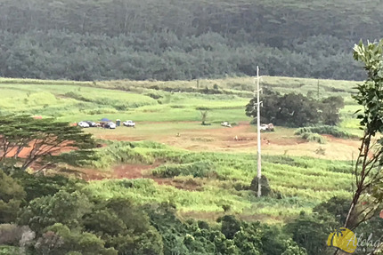 Overview