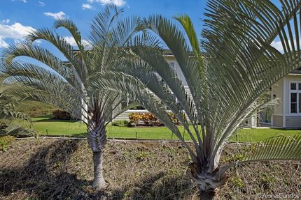 Master Bedroom Lanai View