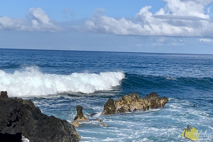 Steps from the Ocean Walkway Path!