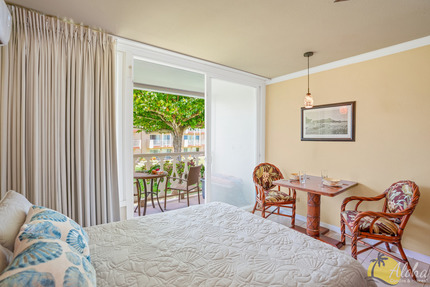 Studio Sleeping Area