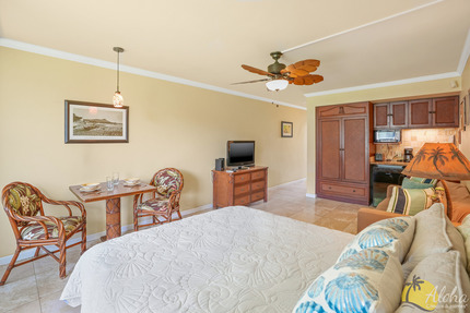 Studio Sleeping Area